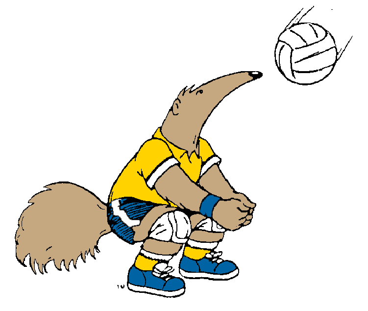 anteater playing volleyball